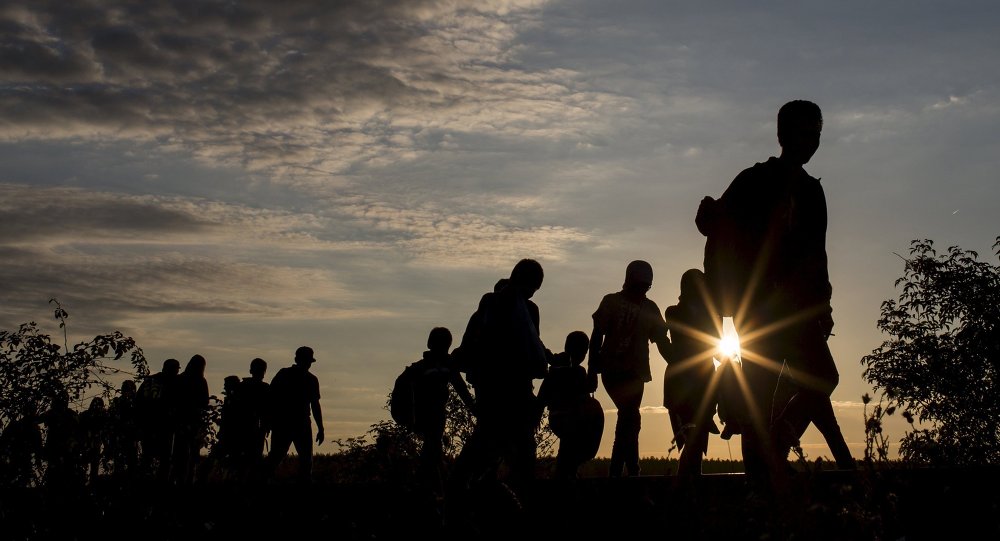Syria migrant crisis