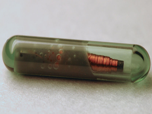 microchip