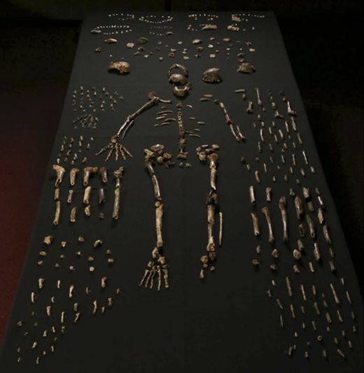 Peer review rejects claims that Homo naledi buried dead, used fire, and scrawled on cave wall