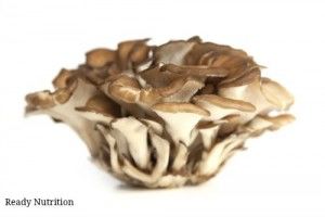 maitake mushrooms