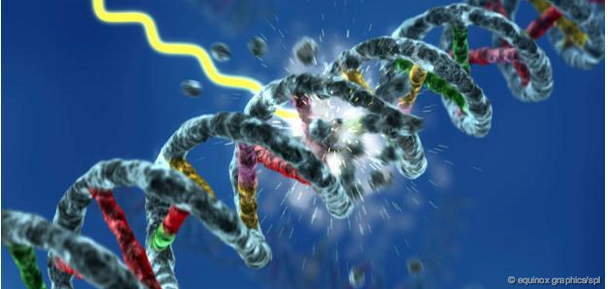 DNA changes disease genetic