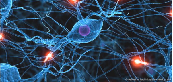 Click to enlarge brain neurons mental health
