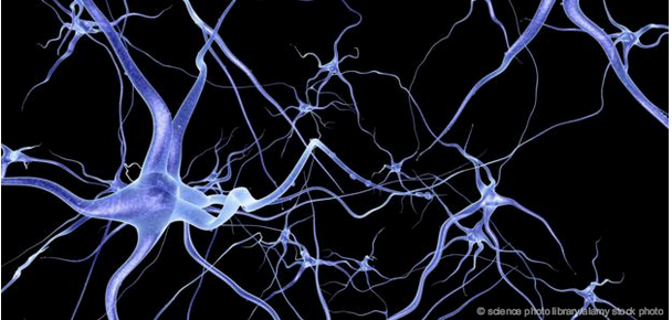 interlinked neurons brain mental health