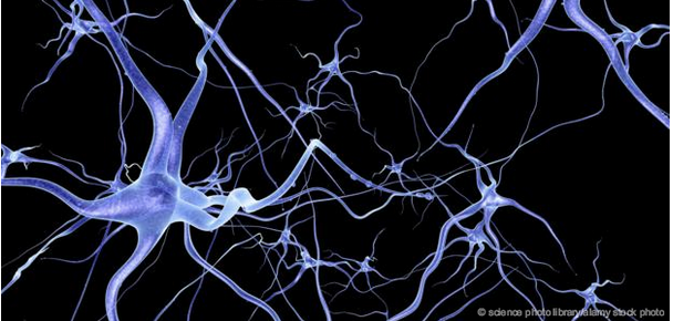 Click to enlarge interlinked neurons brain mental health