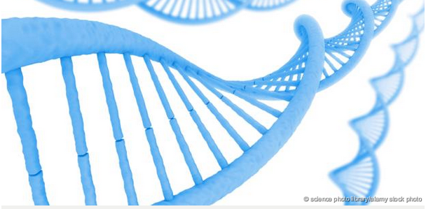 Click to enlarge dna mental health