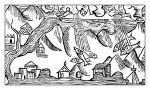 Raining Fishes