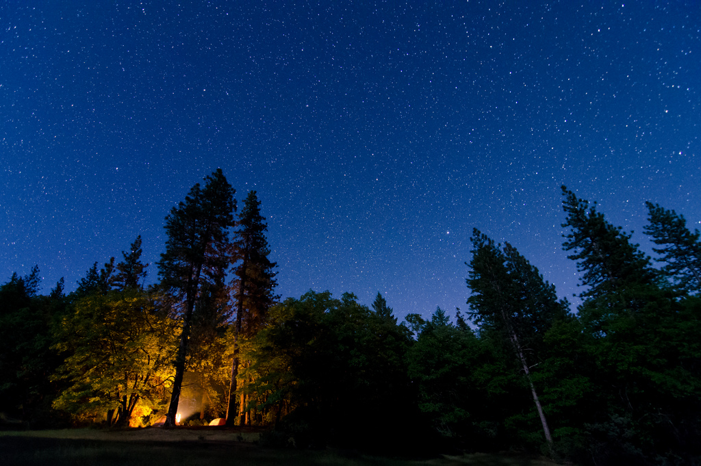 Camping fire under the night sky