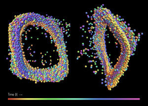 strange attractors pulsating stars
