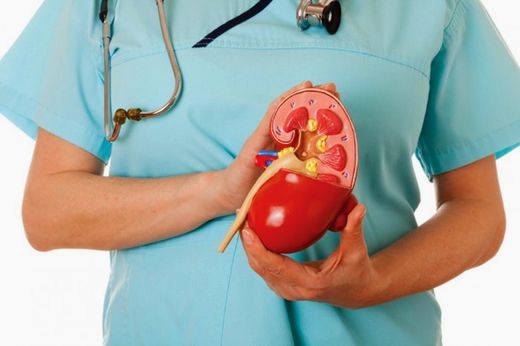 kidney