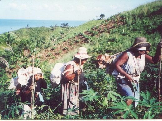 Garifuna 