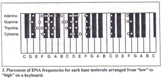 DNA keyboard