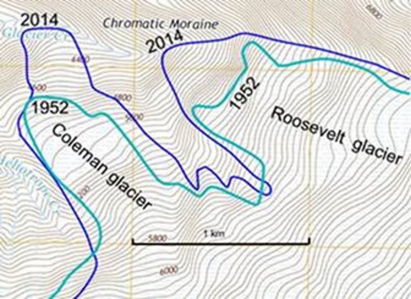 Click to enlarge roosevelt and coleman glacier