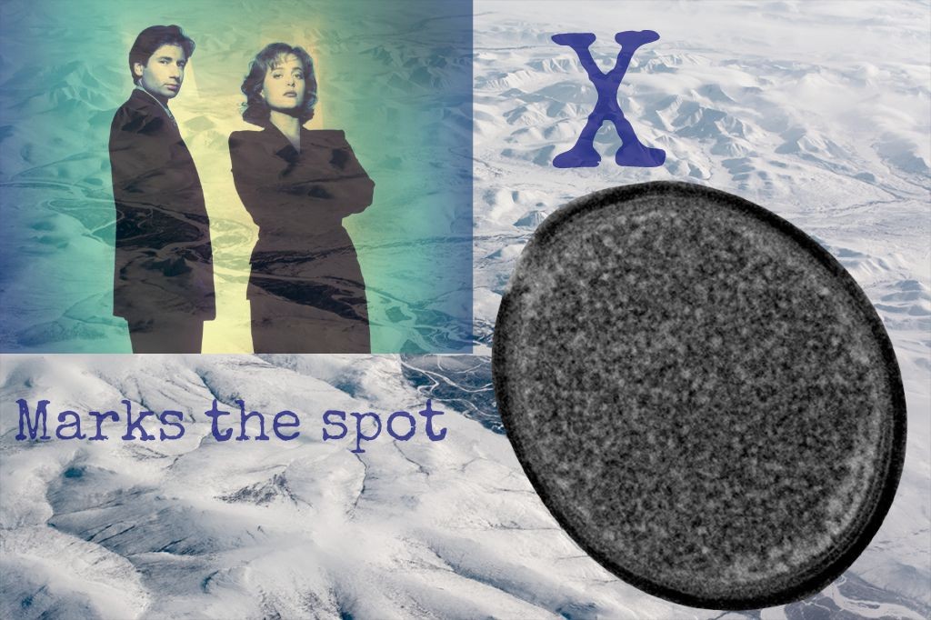 x files virus