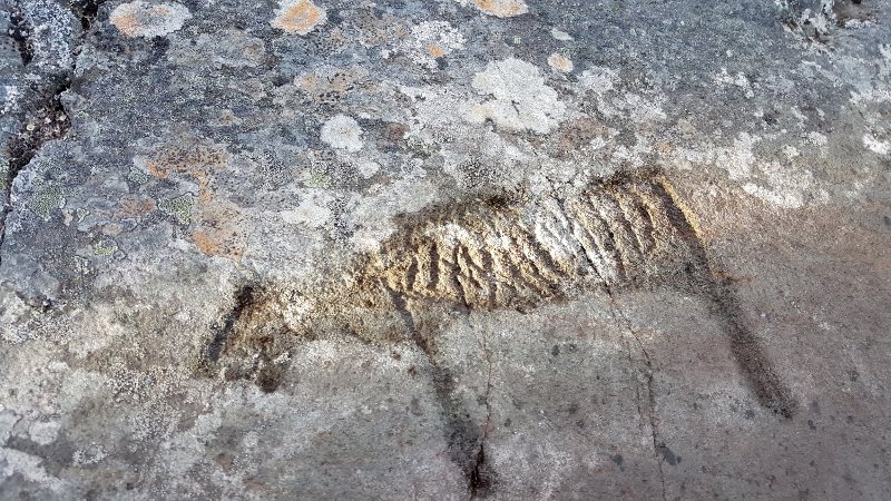 Click to enlarge norway rock art