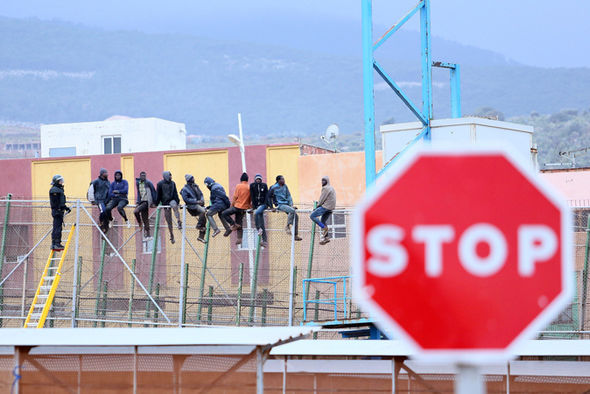 Melilla fence