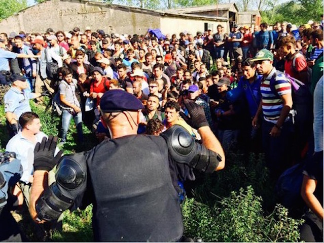 Slovenia border refugee