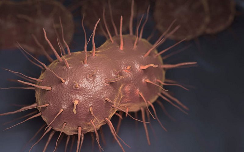 gonorrhoea outbreak england