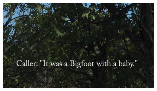 Bigfoot Sighting