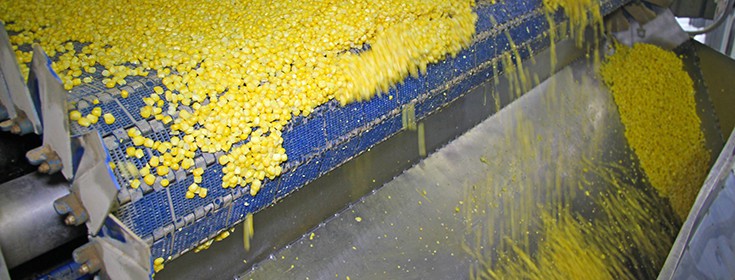 Corn food processing plant