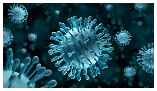 Virus