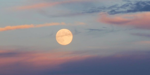 harvest moon 2013
