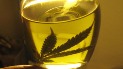 cannabis oil