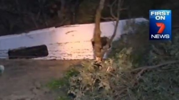 Click to enlarge Sinkhole_1