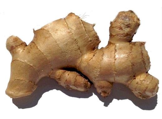 Click to enlarge ginger