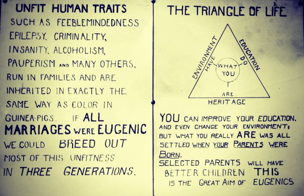 eugenics display