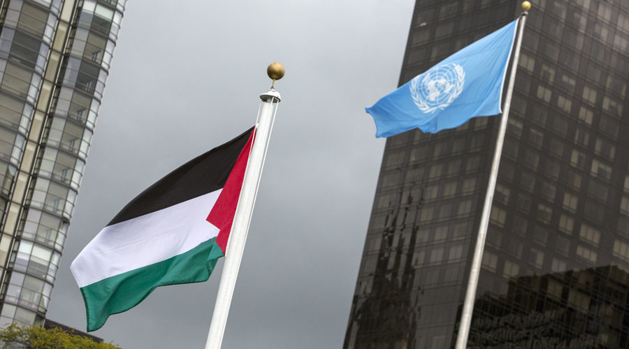 Palestine flag United Nation