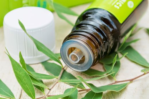 tea tree oil