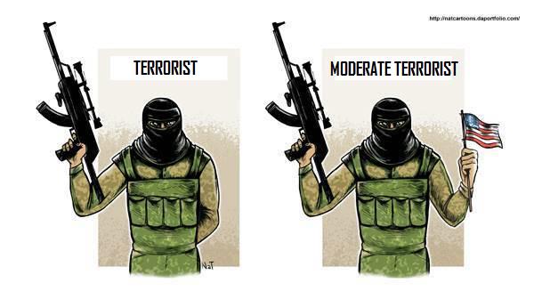 moderate terrorist