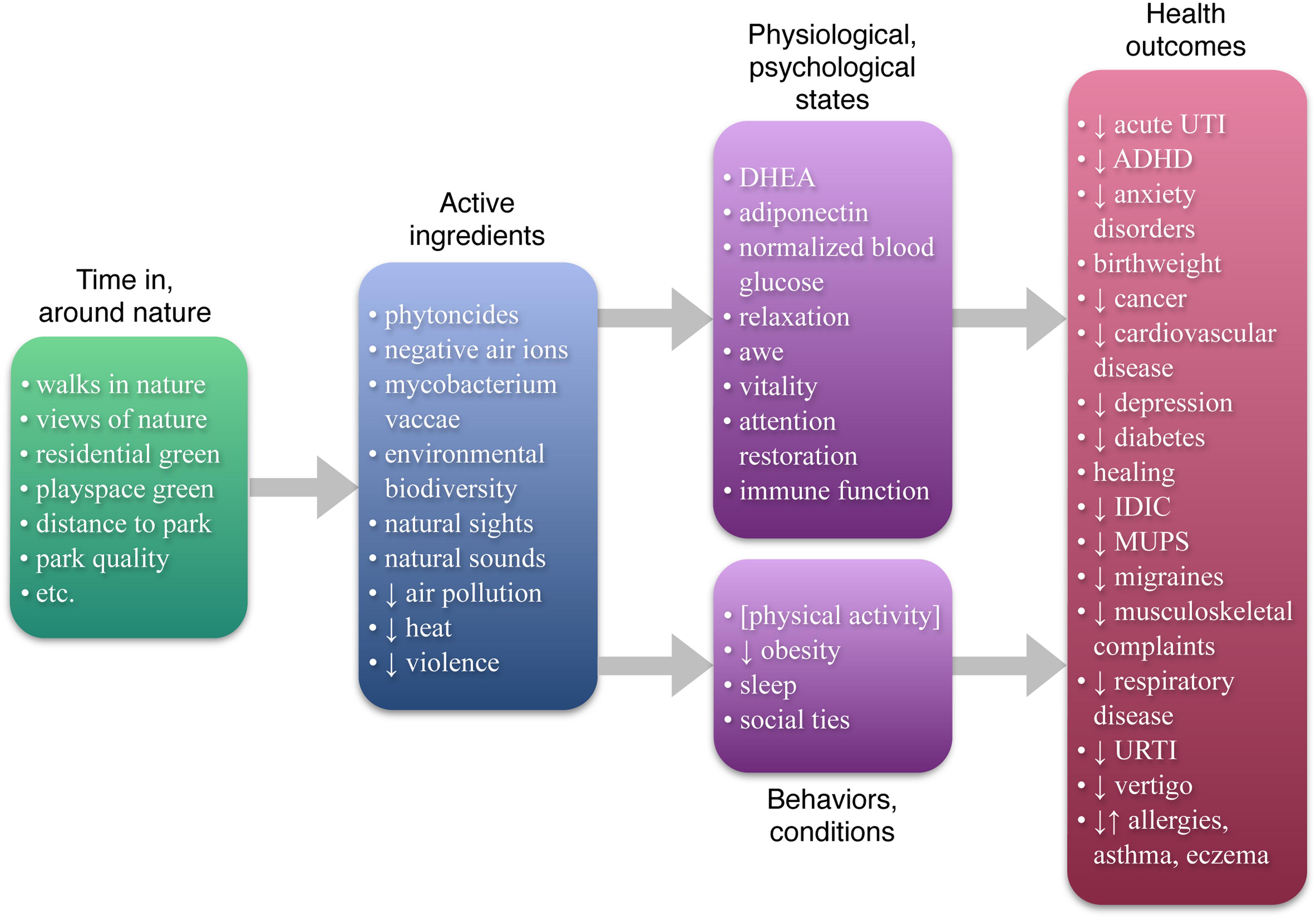 Click to enlarge nature health effects