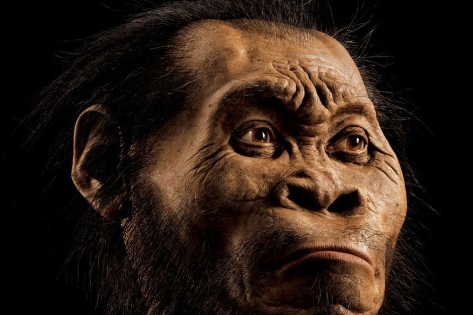 Homo naledi