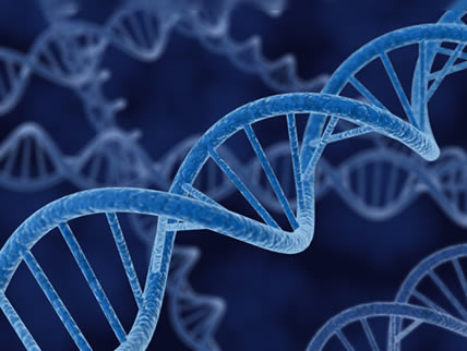 DNA