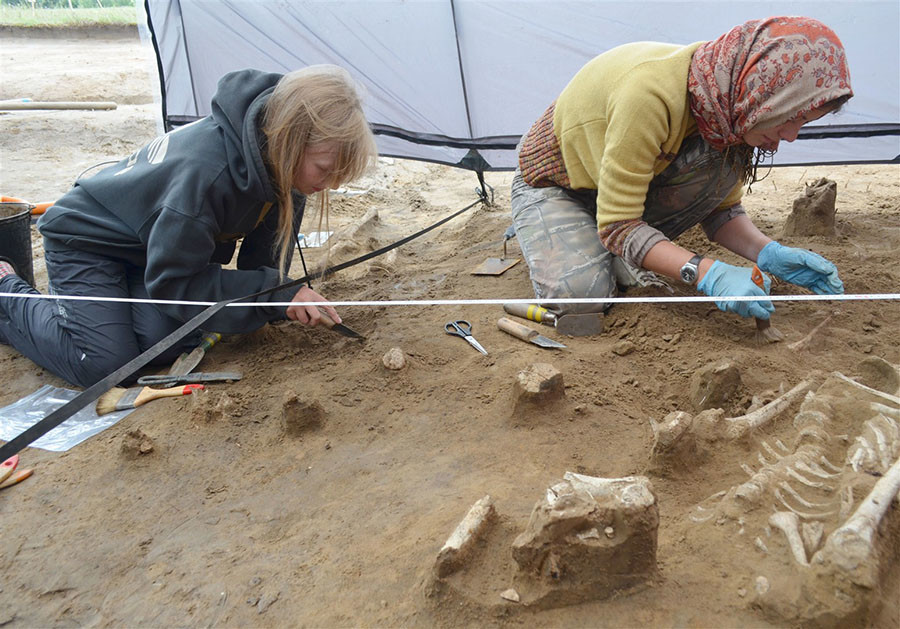 Click to enlarge new stone age siberia