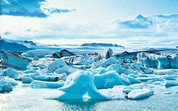 Arctic
