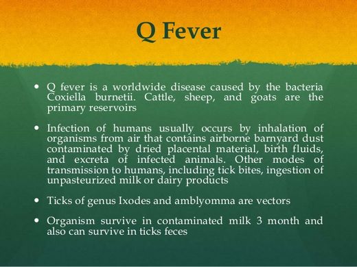 Q fever