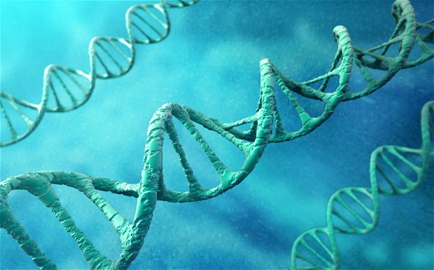 Click to enlarge DNA