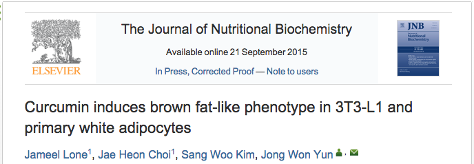 curcumin