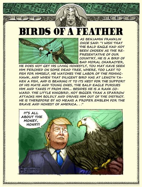 Click to enlarge Image