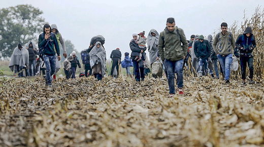 Click to enlarge Slovenia refugees
