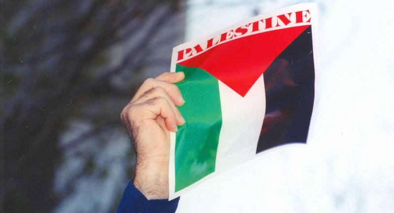 Click to enlarge palestinian flag