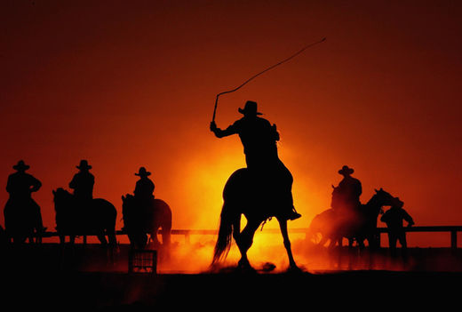 cattle rustling