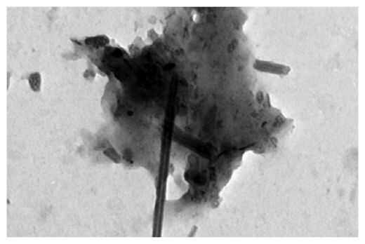 Click to enlarge Carbon nanotubes