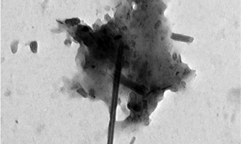 Click to enlarge carbon nanotubes in lungs