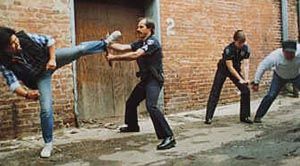 Click to enlarge nunchuck police