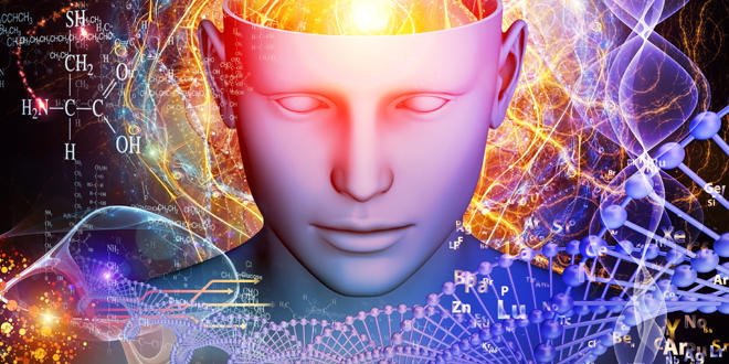 Click to enlarge brain genes