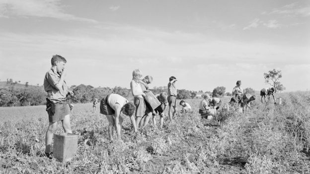 Click to enlarge Fairbridge Farm School