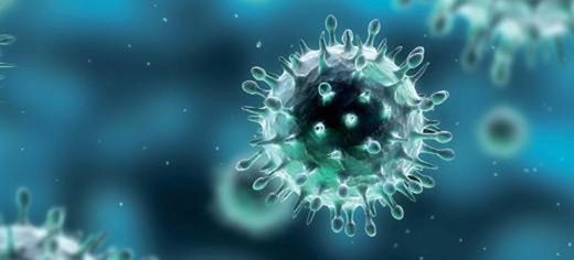 virus